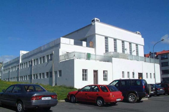 The Reykjavik Swimming pool